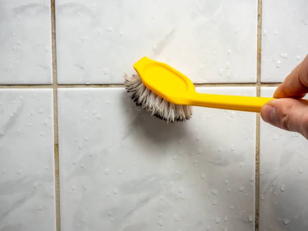 Best Attic Mold Removal  in Kettering, OH