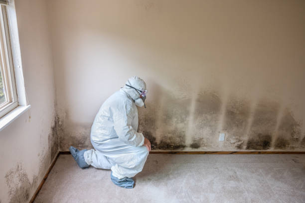 Best Crawl Space Mold Removal  in Kettering, OH